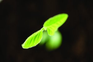 学习可穿戴设备的最短路径是什么